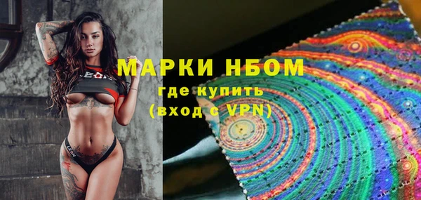 твердый Новокубанск