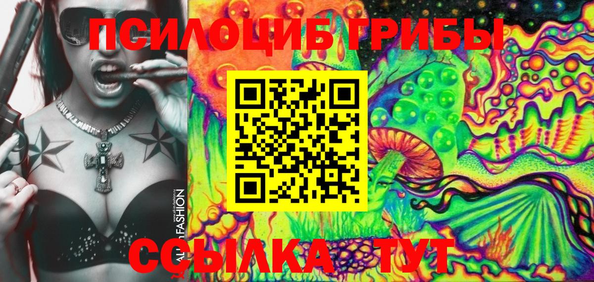 Галлюциногенные грибы Psilocybe  Котлас  Псилоцибиновые грибы мицелий 