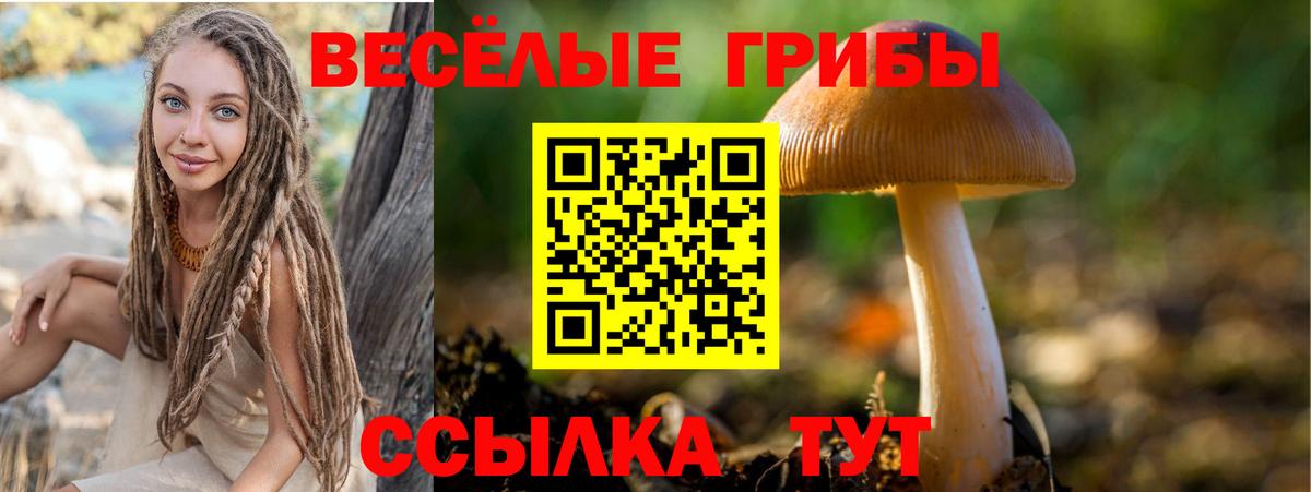 Галлюциногенные грибы Magic Shrooms Котлас